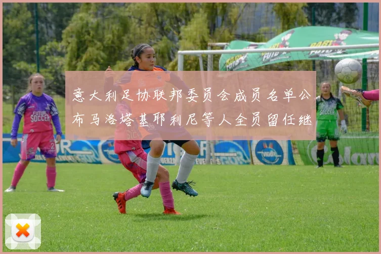 意大利足协联邦委员会成员名单公布马洛塔基耶利尼等人全员留任继续服务